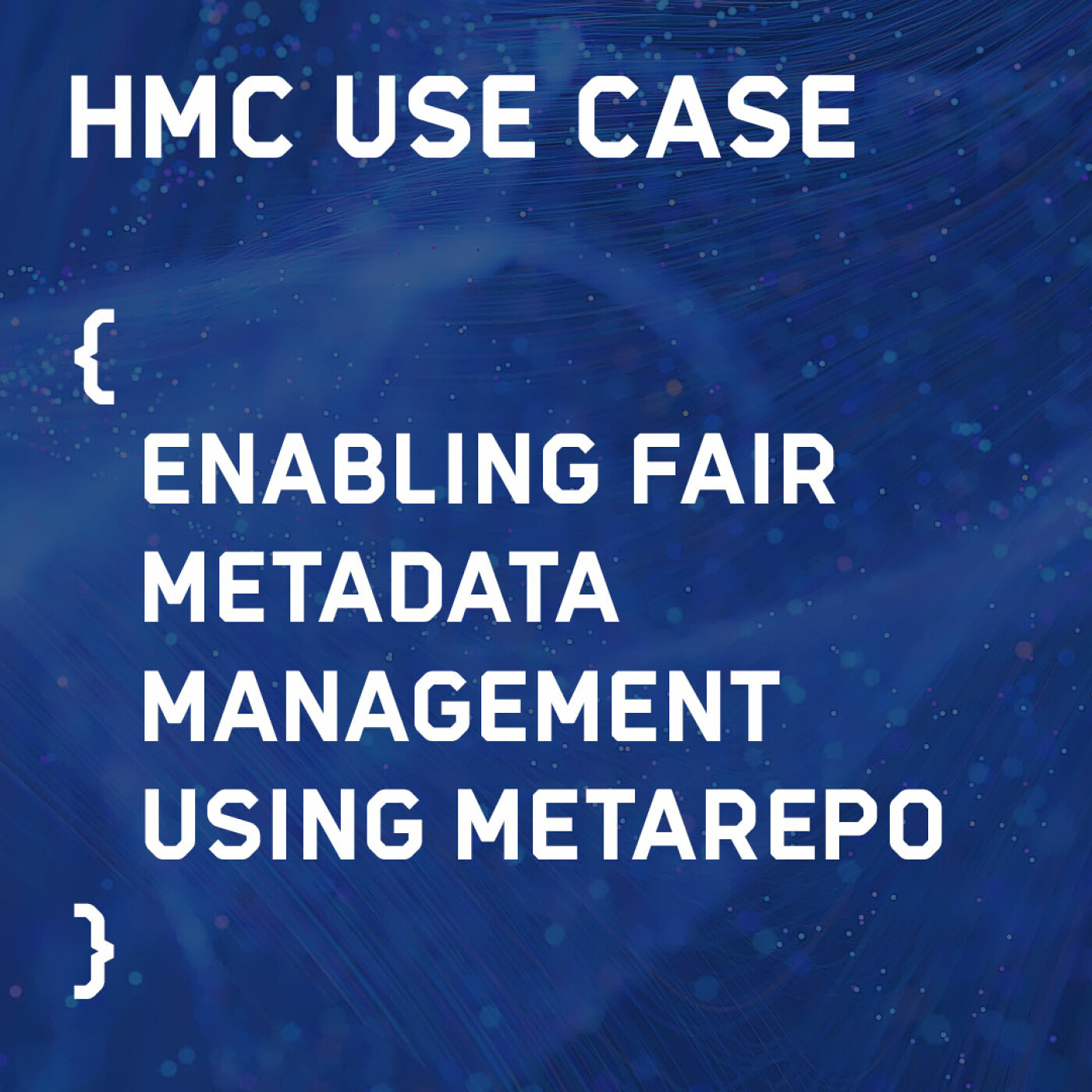 HMC Use Case Enabling FAIR Metadata Management on the European Level
